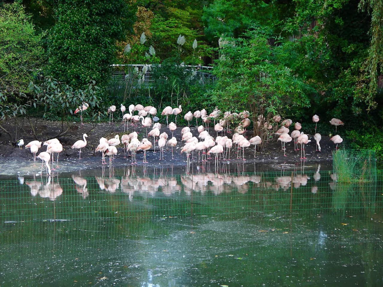 ARTIS – Zoo, Planetarium & Micropia in Amsterdam