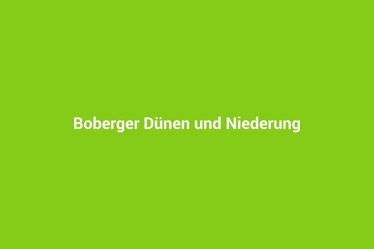 Boberger Dünen und Niederung
