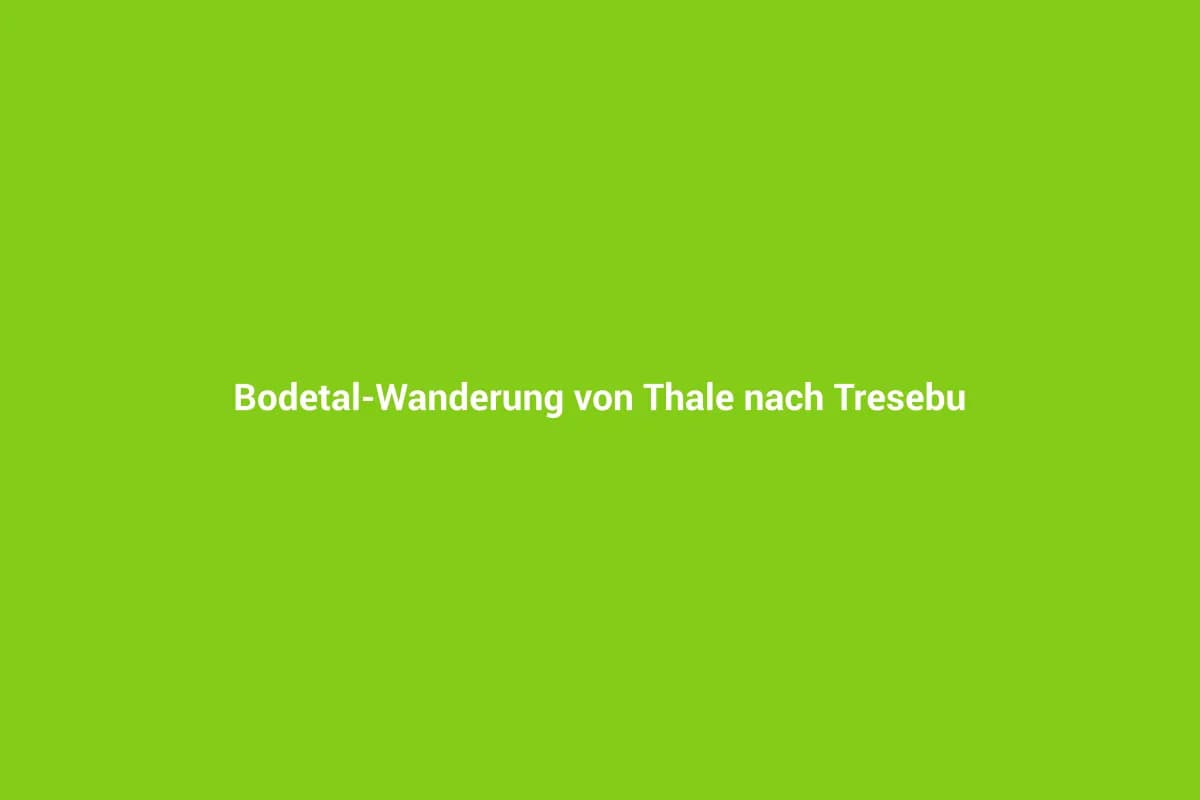 Thale mit Kindern entdecken