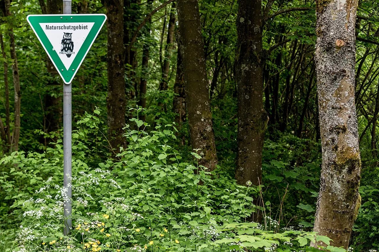 Nohfelden mit Kindern entdecken