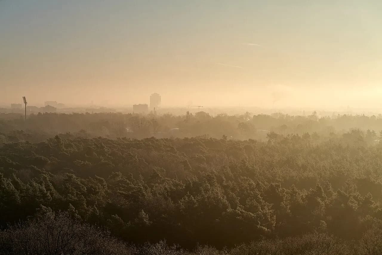 Drachenberg im Grunewald