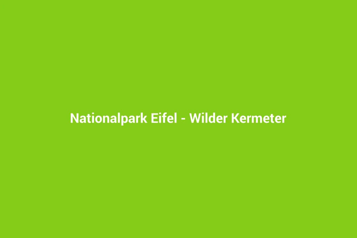 Schleiden-Gemünd mit Kindern entdecken