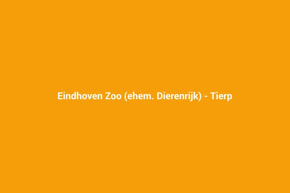 Eindhoven Zoo (ehem. Dierenrijk) – Tierpark in Mierlo