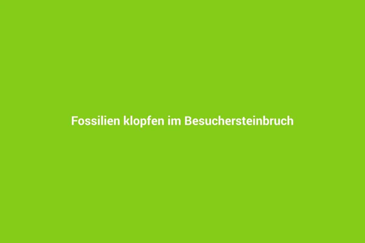 Mörnsheim mit Kindern entdecken