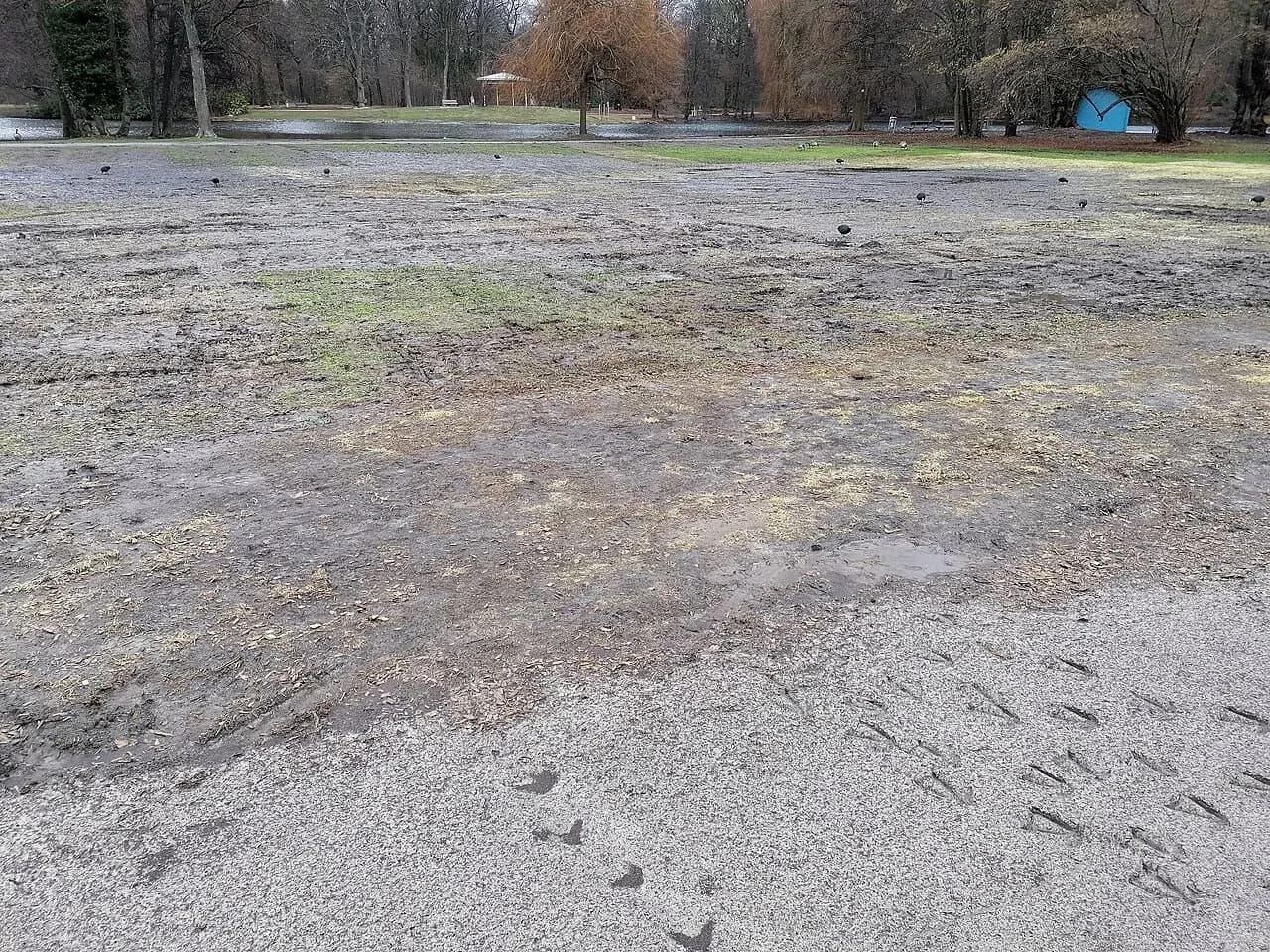 Fredenbaumpark Dortmund mit Wildgehege
