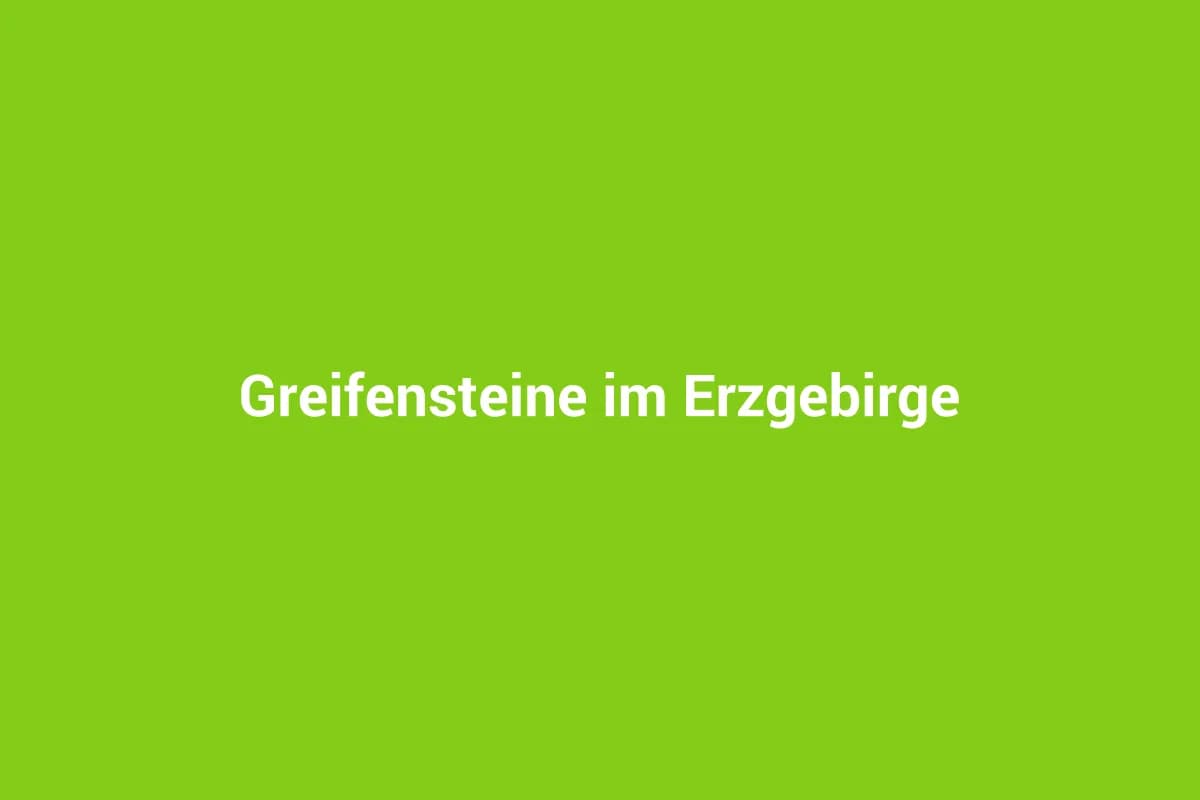 Ehrenfriedersdorf mit Kindern entdecken