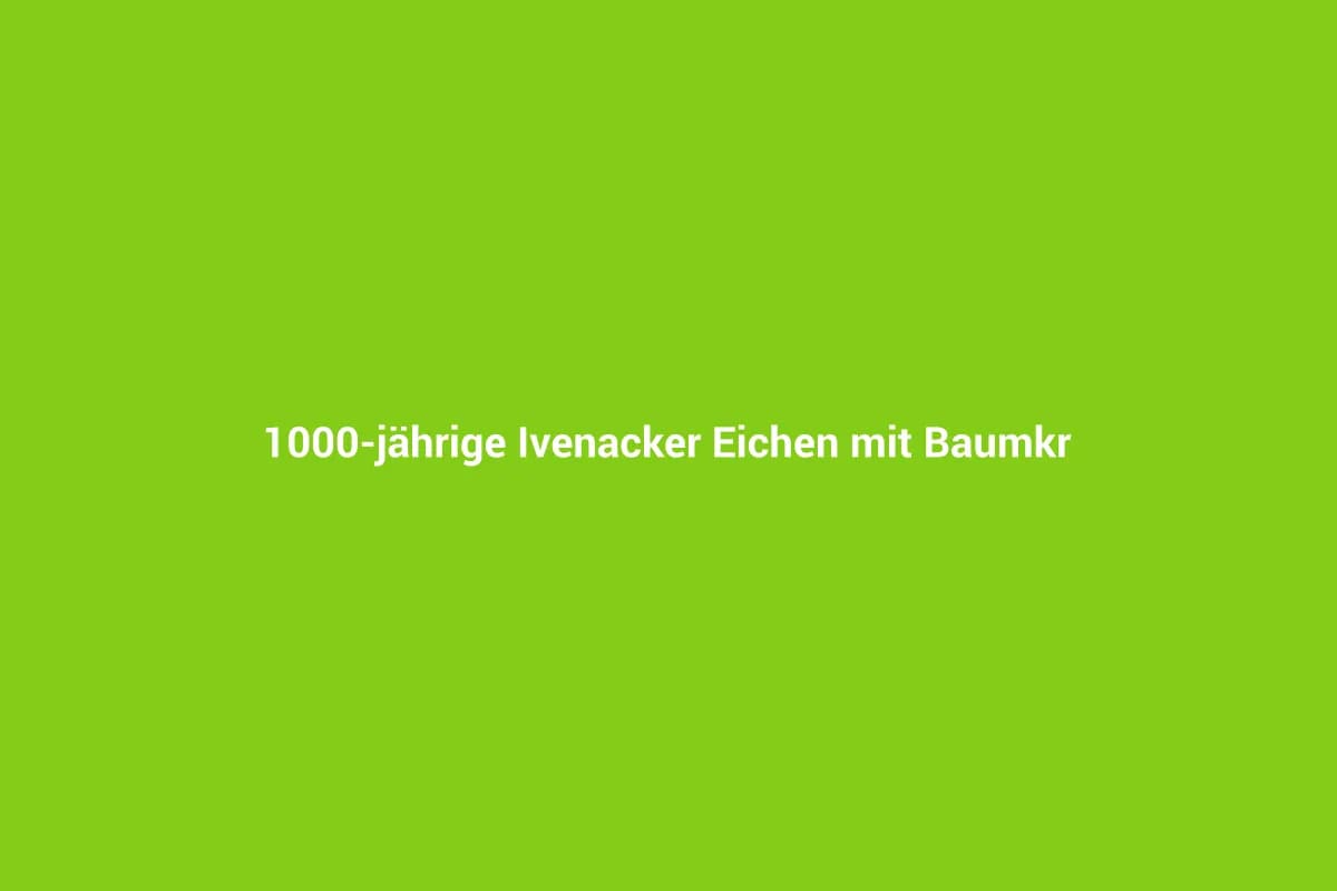 Ivenack mit Kindern entdecken