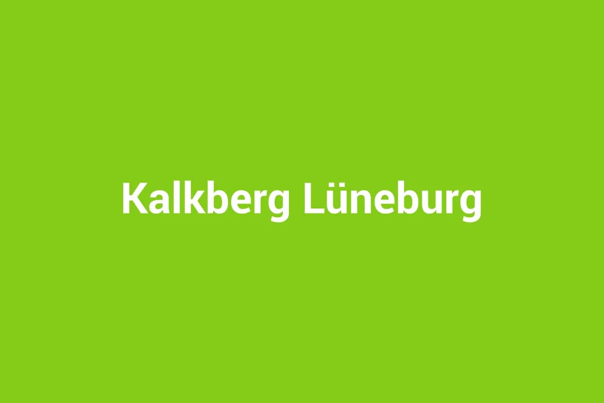 Lüneburg mit Kindern entdecken