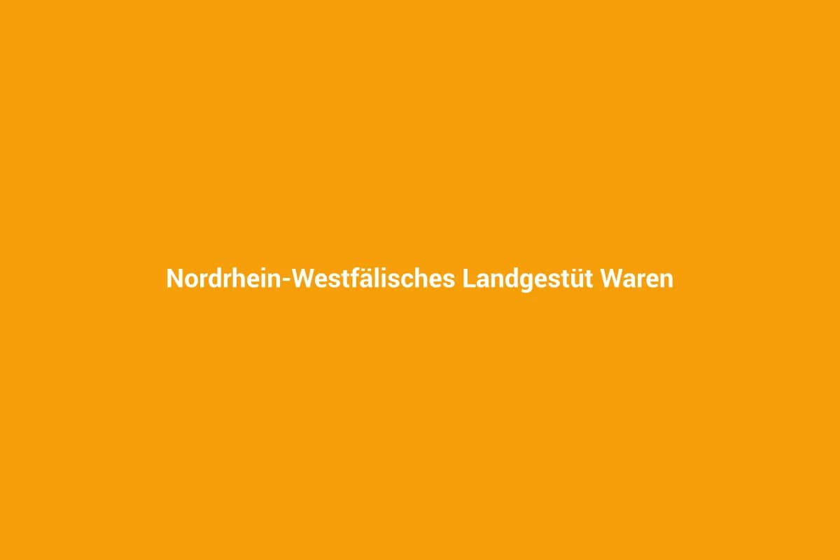 Warendorf mit Kindern entdecken