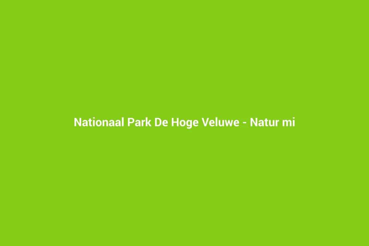 Nationaal Park De Hoge Veluwe – Natur mit Gratis-Fahrrädern