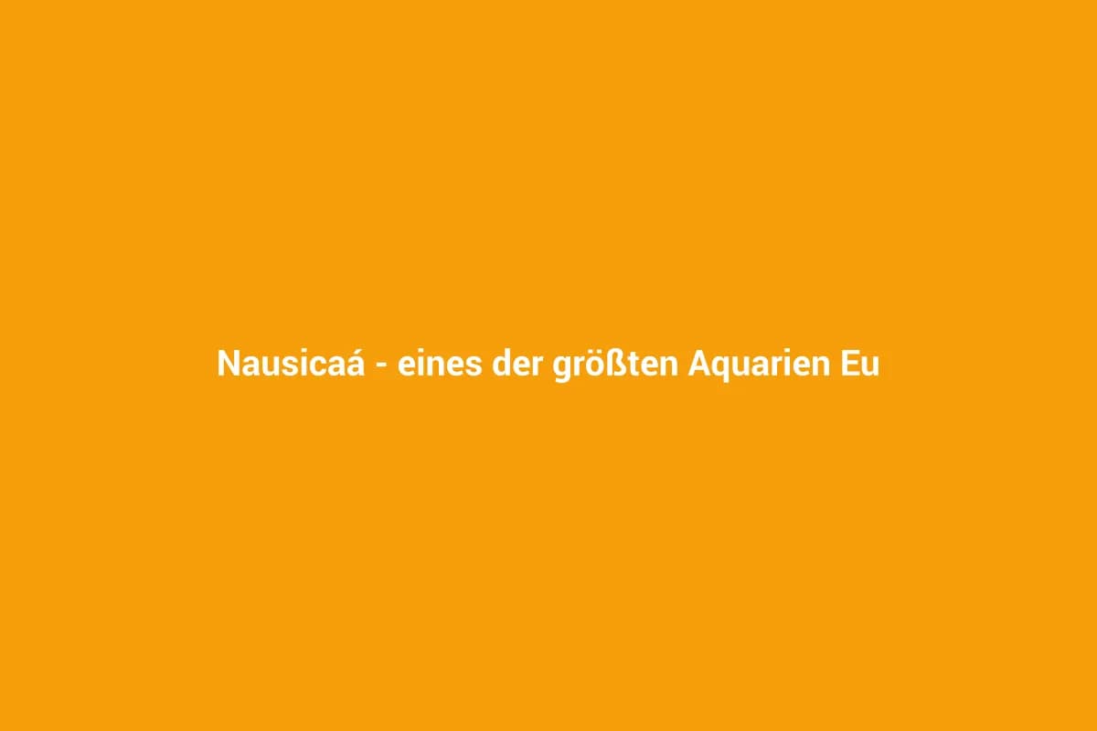 Nausicaá – eines der größten Aquarien Europas in Boulogne-sur-Mer
