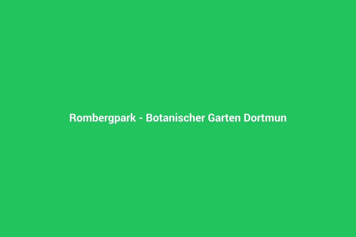 Rombergpark – Botanischer Garten Dortmund