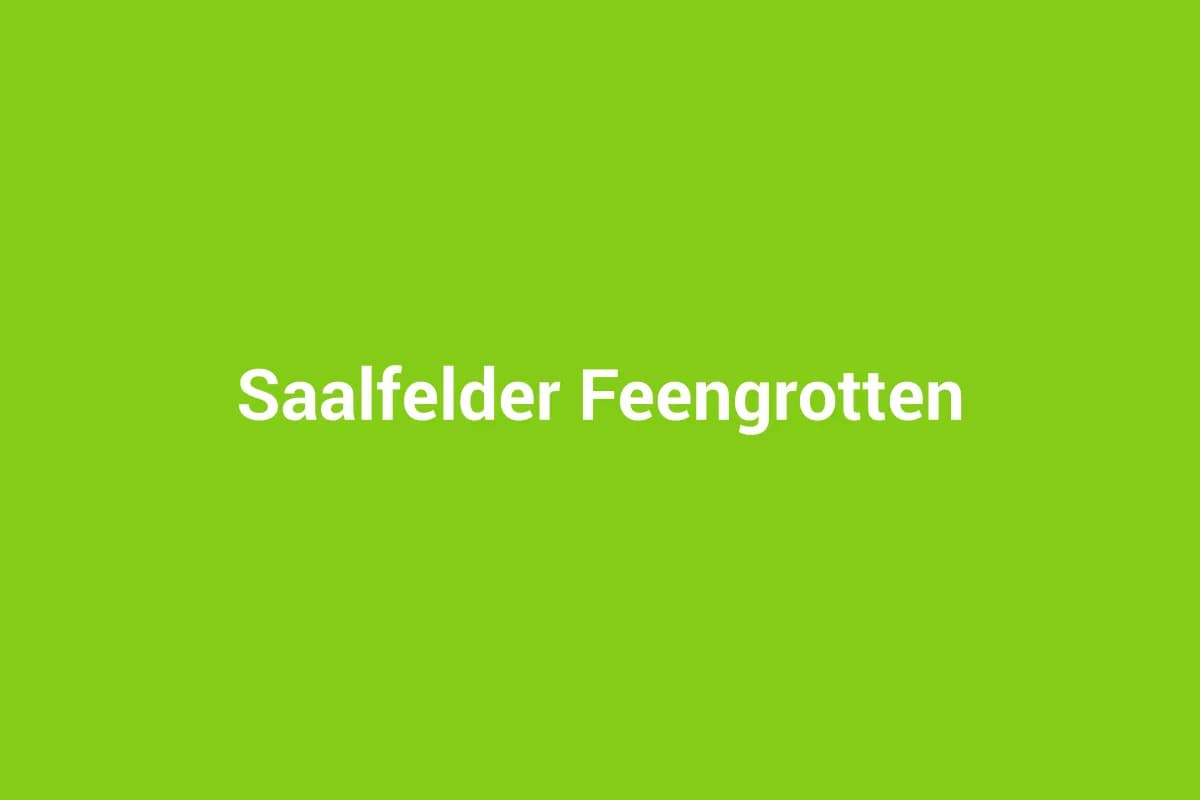 Saalfeld mit Kindern entdecken