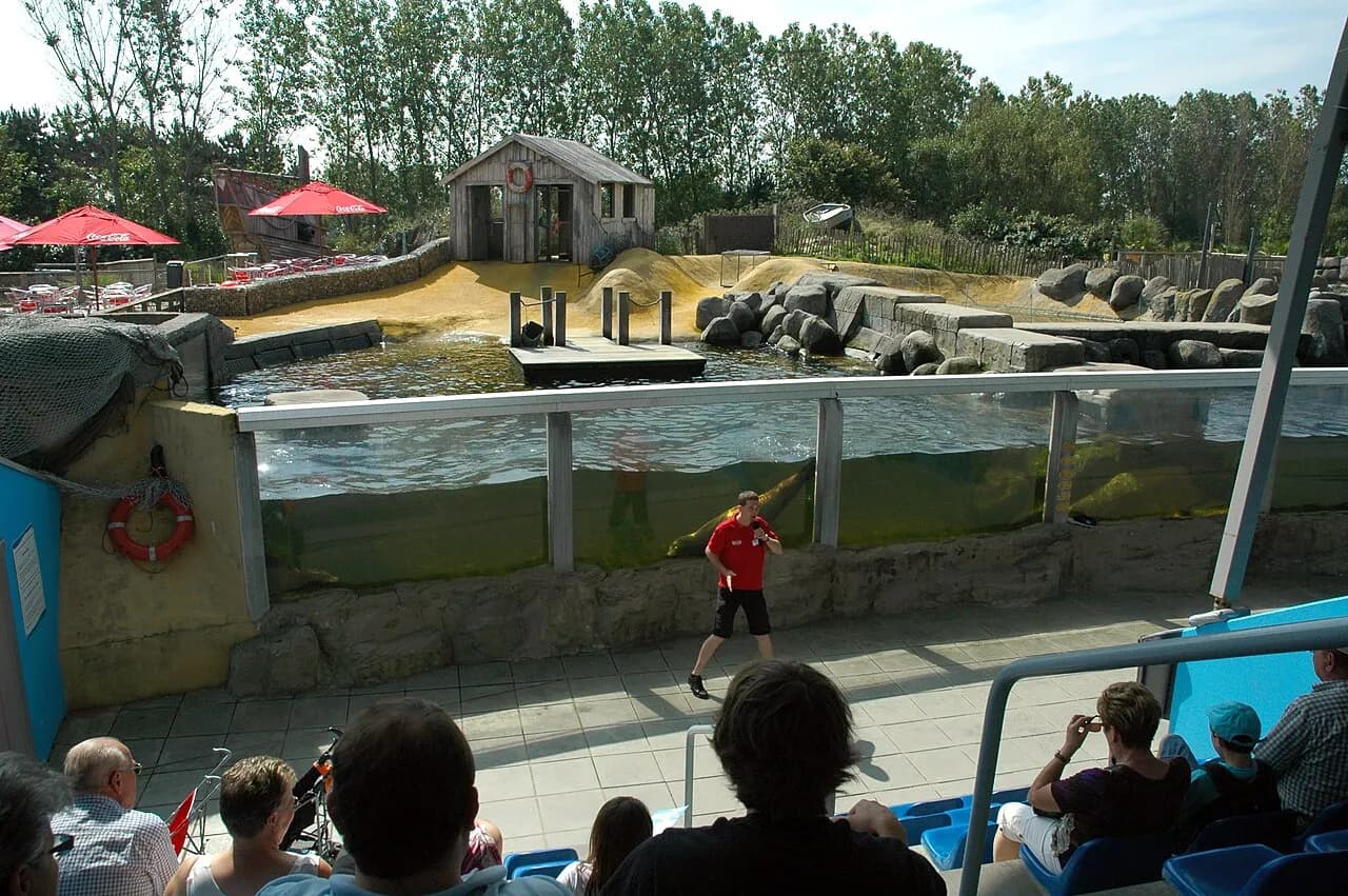 SEA LIFE Blankenberge – Aquarium mit Robbenstation an der Nordsee