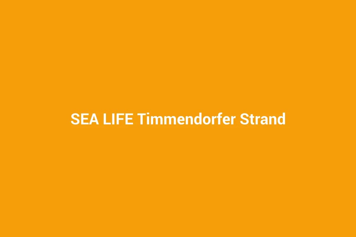 Timmendorfer Strand mit Kindern entdecken