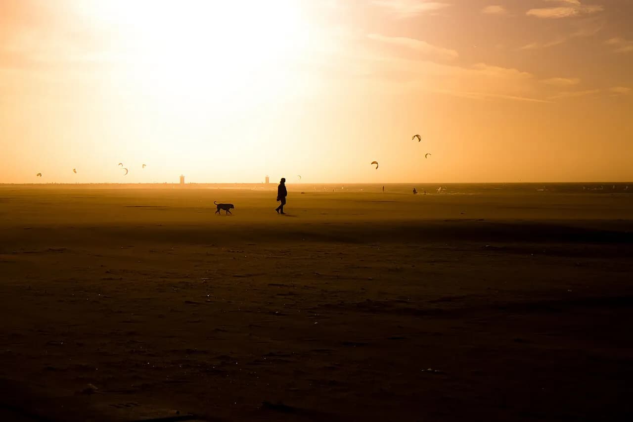Strand Scheveningen – Nordseebad in Den Haag
