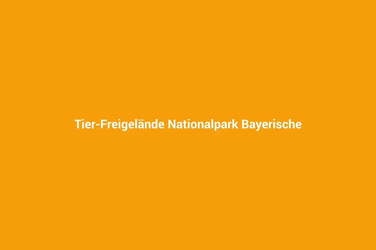 Neuschönau mit Kindern entdecken