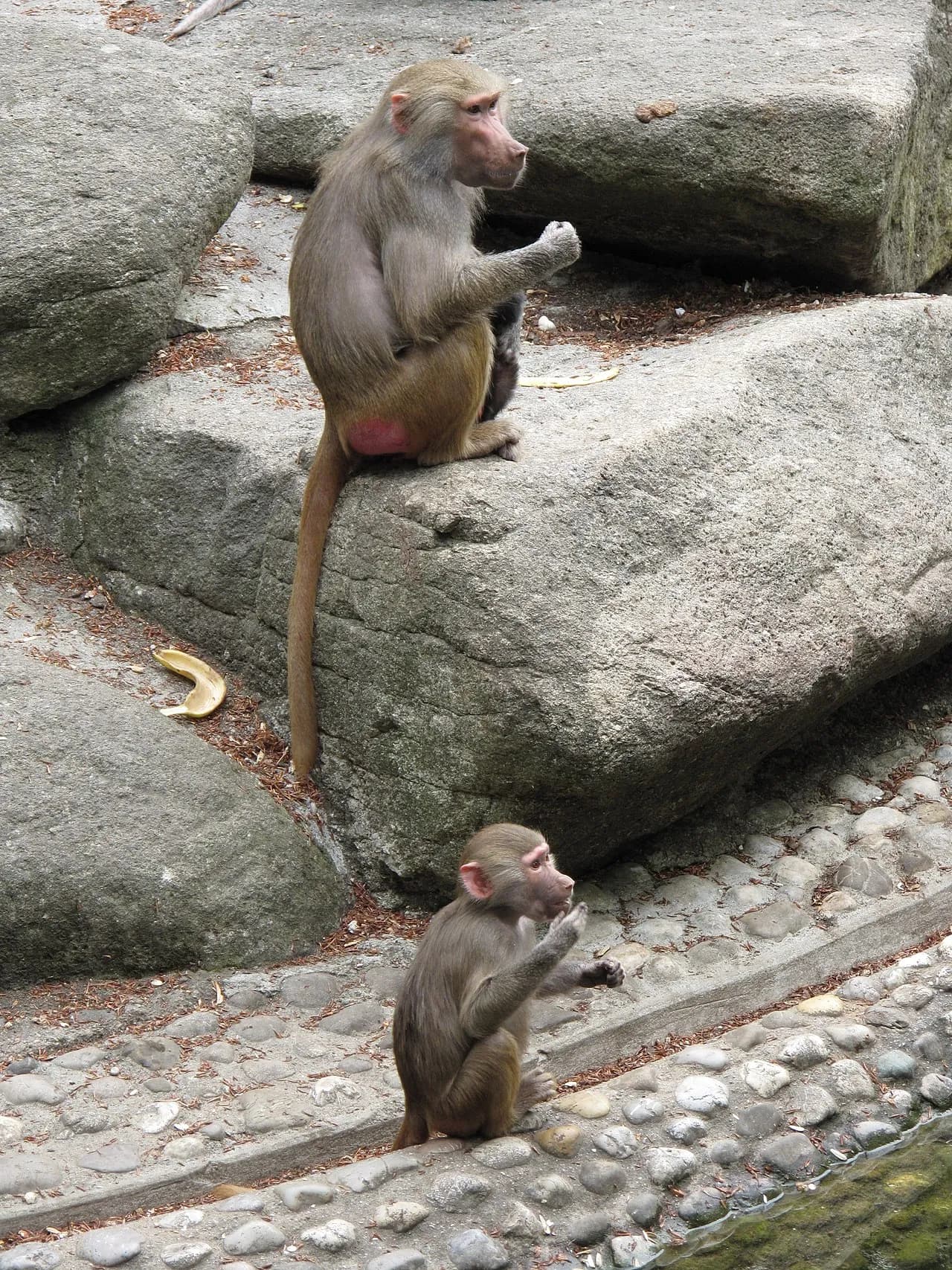 Tierpark Hellabrunn München