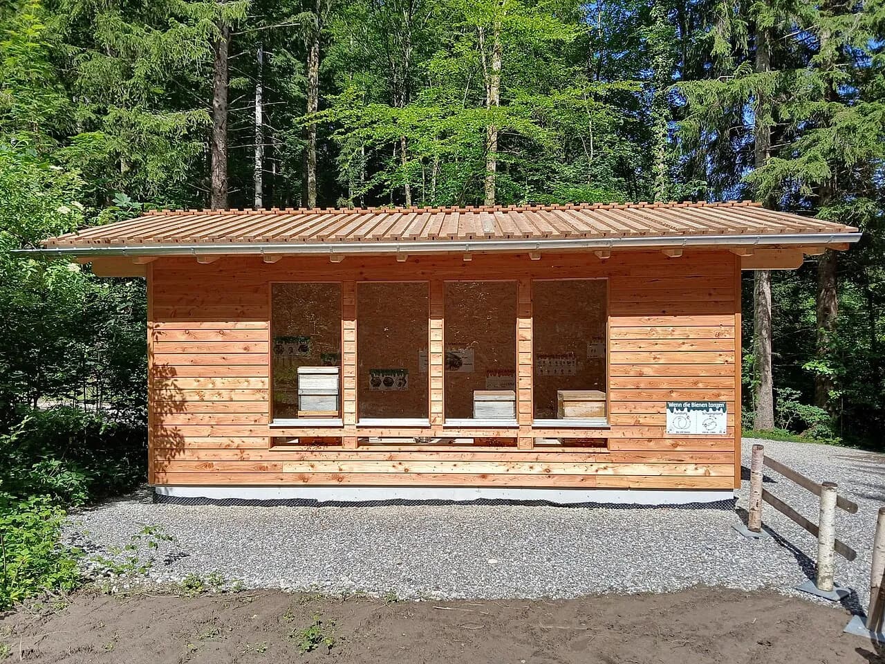 Füssen mit Kindern entdecken