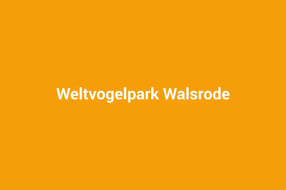 Walsrode mit Kindern entdecken