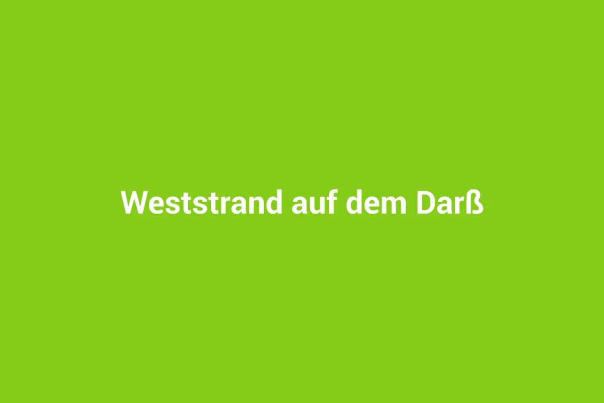 Born a. Darß mit Kindern entdecken
