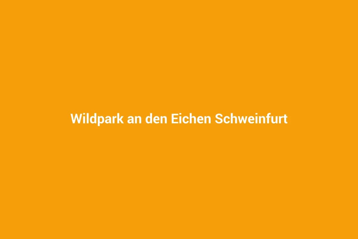 Schweinfurt mit Kindern entdecken