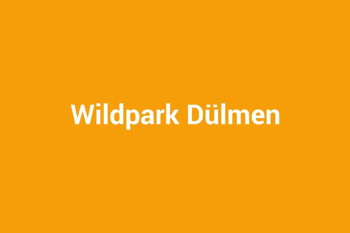 Dülmen mit Kindern entdecken