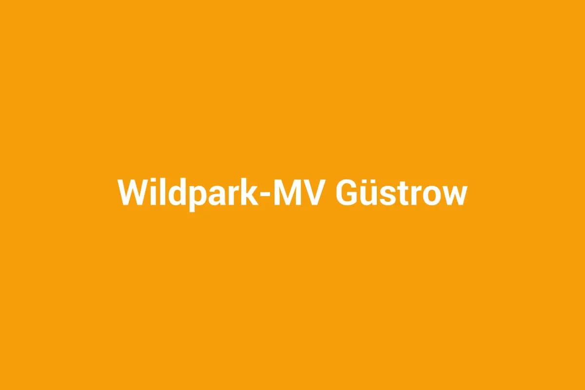 Güstrow mit Kindern entdecken