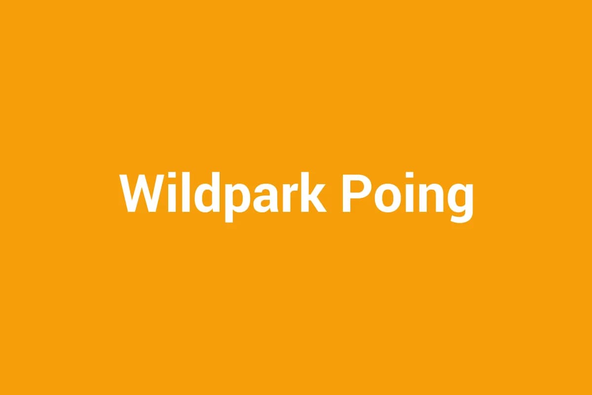 Poing mit Kindern entdecken