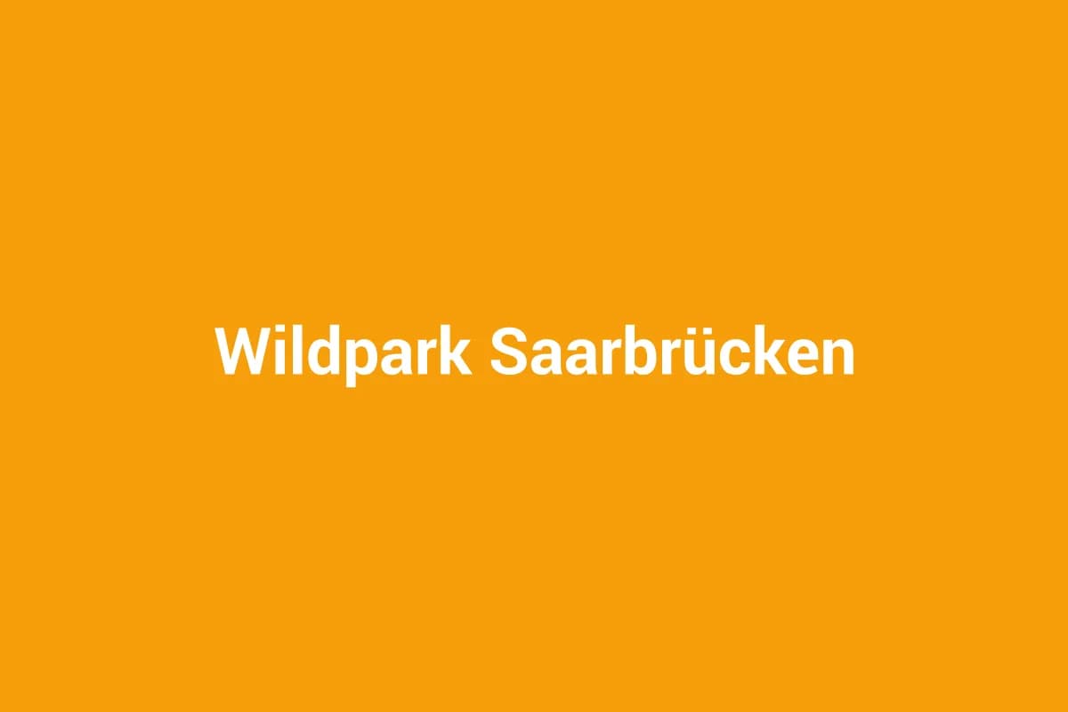 Saarbrücken mit Kindern entdecken