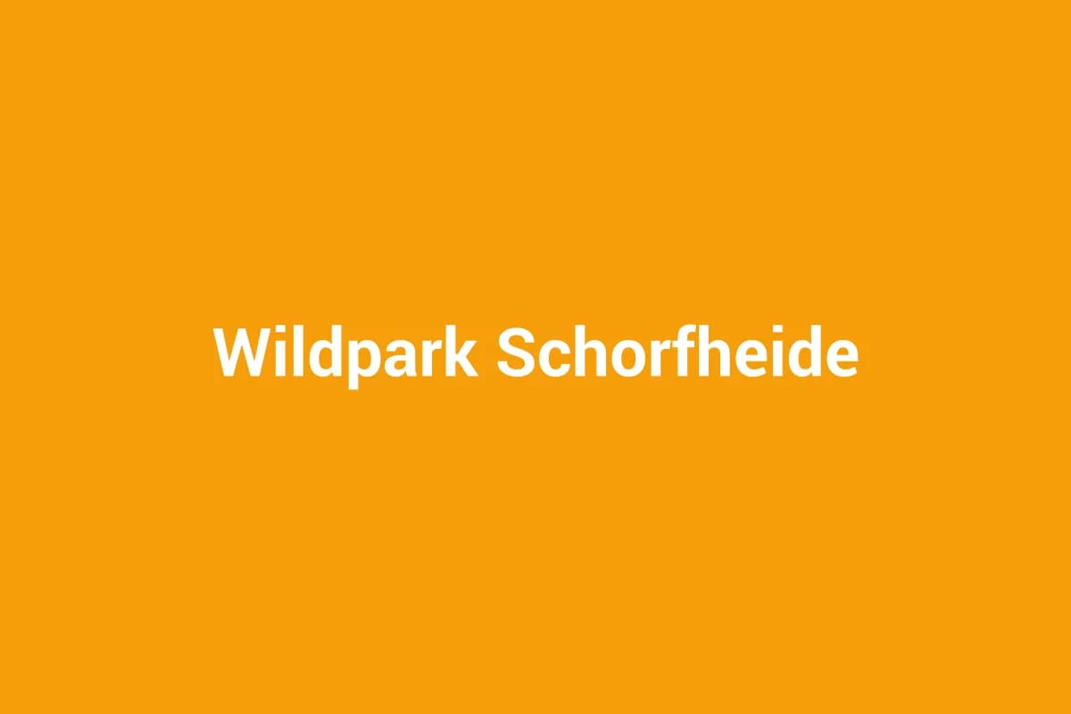 Schorfheide OT Groß Schönebeck mit Kindern entdecken