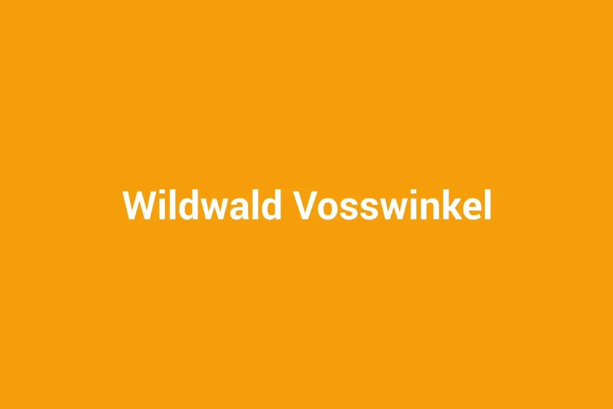 Arnsberg mit Kindern entdecken