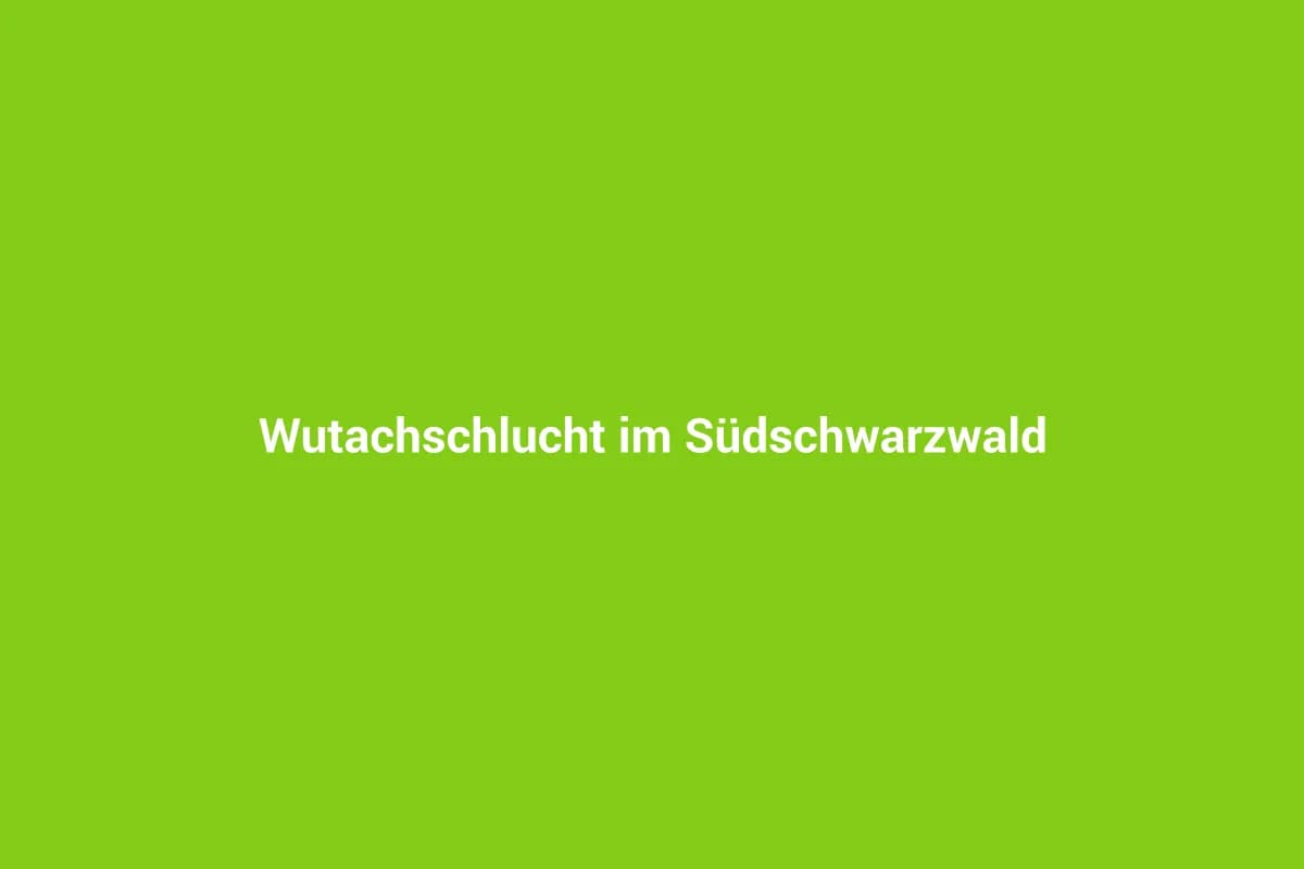 Bonndorf im Schwarzwald mit Kindern entdecken