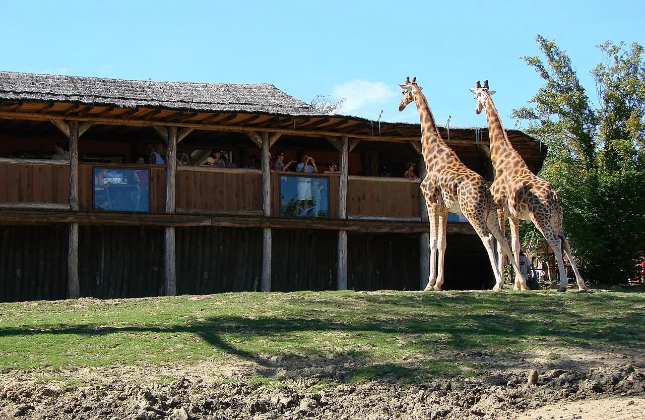 Amnéville mit Kindern entdecken