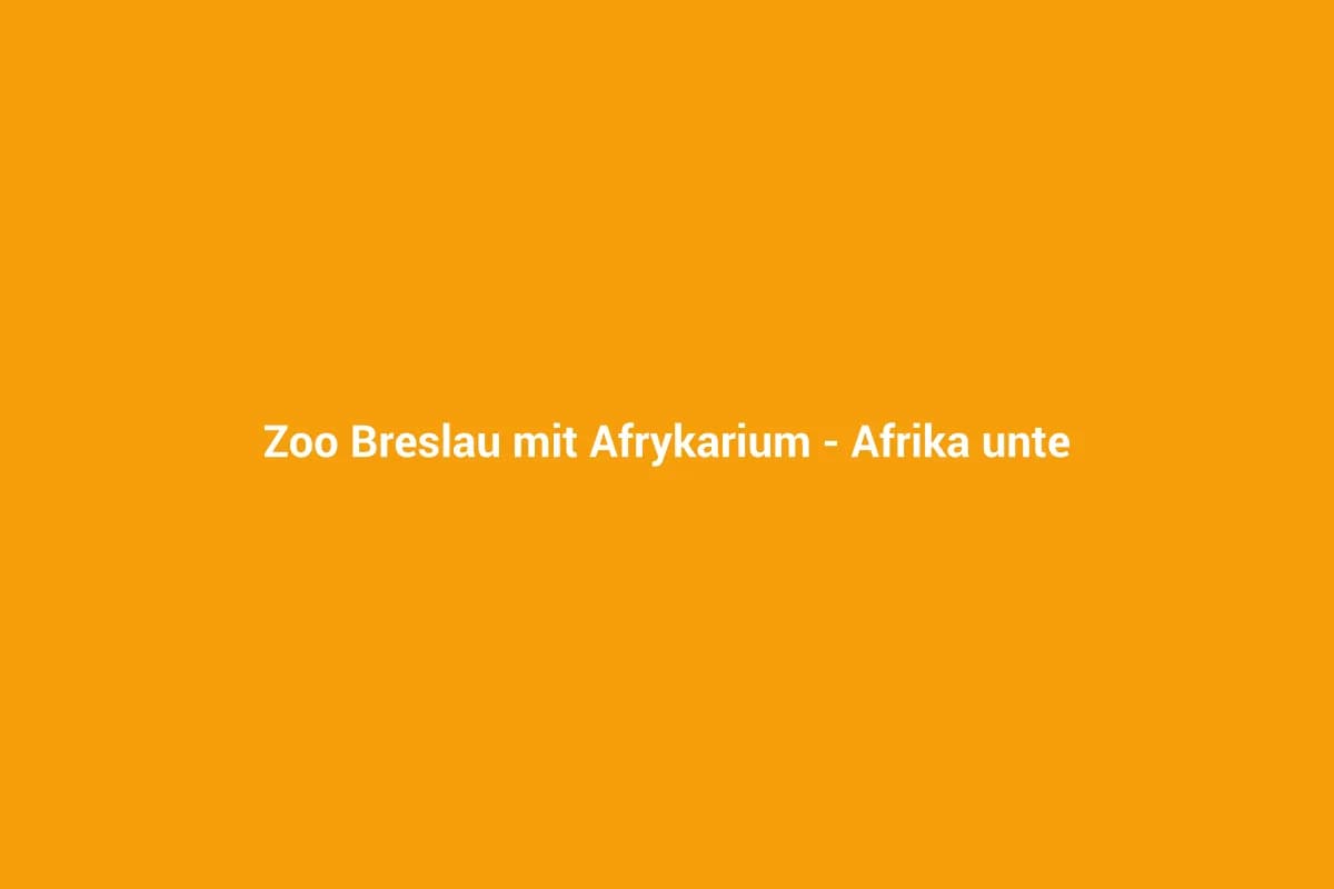 Breslau mit Kindern entdecken